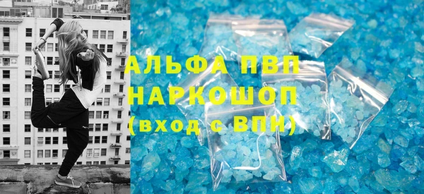 прущие грибы Бежецк