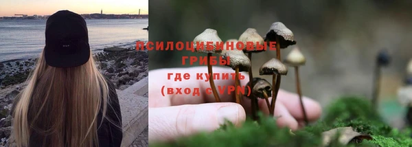 ПСИЛОЦИБИНОВЫЕ ГРИБЫ Михайловск