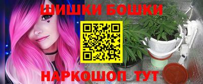 шишки Гай