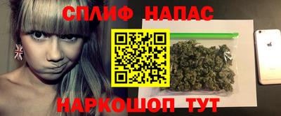шишки Гай
