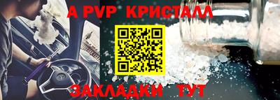 шишки Гай