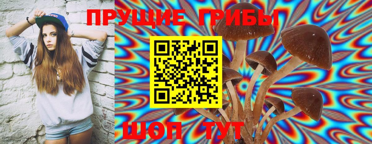 Галлюциногенные грибы Psilocybine cubensis  Псилоцибиновые грибы мухоморы  как найти закладки  Вход с VPN  Карабулак 
