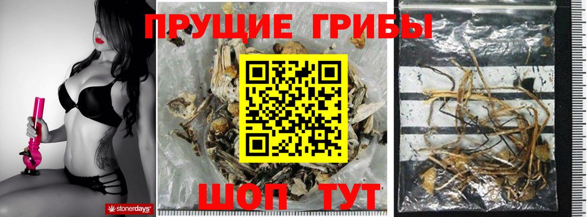 Псилоцибиновые грибы мухоморы Карабулак