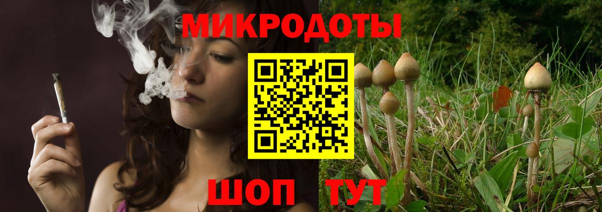 Галлюциногенные грибы прущие грибы  Галлюциногенные грибы Magic Shrooms  Карабулак 